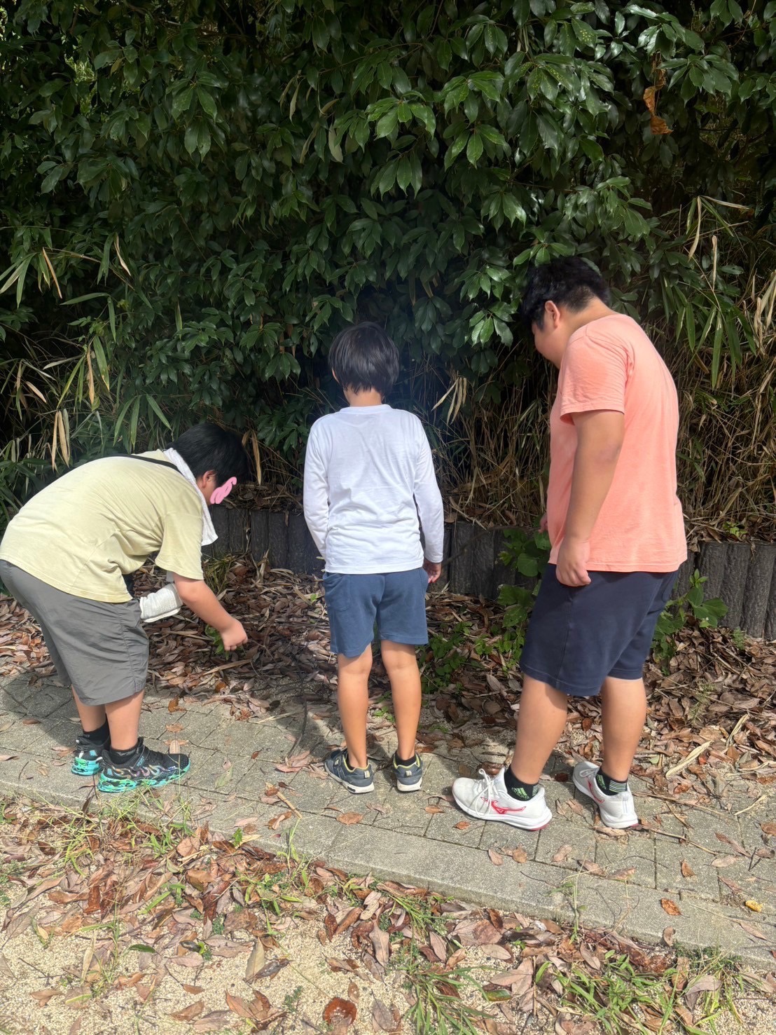 大阪市浪速区の放課後等デイサービスオハナピース大阪日本橋の蜻蛉池公園へおでかけ